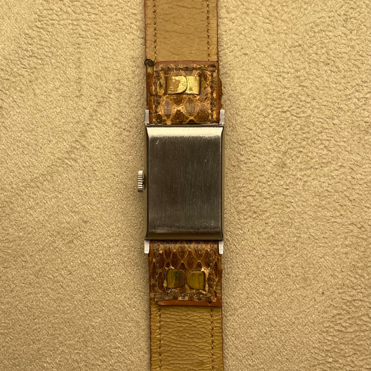 Vintage Alsace men's tank on original crocodile strap